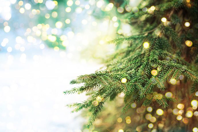 All I want for Christmas is… | MIH Property Management