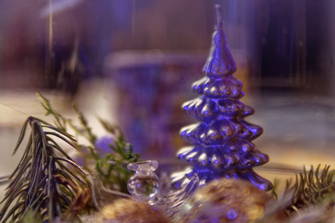 Merry & Bright | MIH Property Management