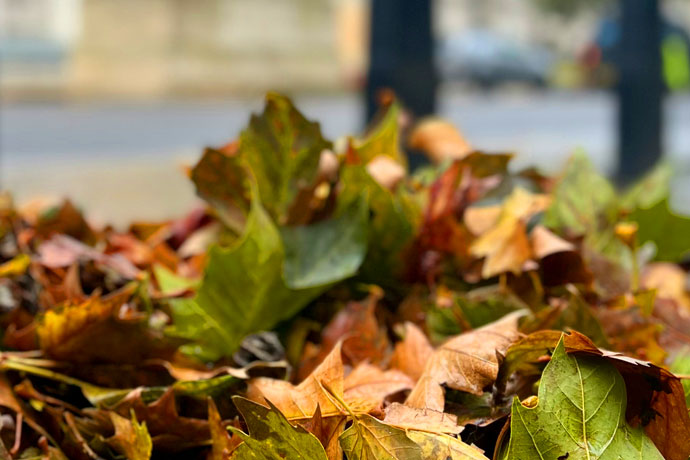 Winter-Proofing Your London Block | MIH Property Management